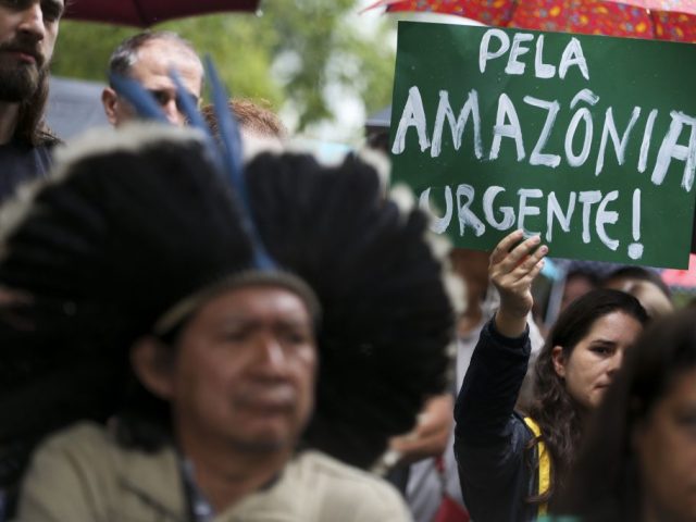 Meio ambiente é agro
