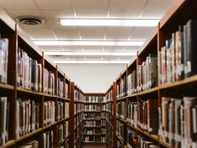 A realidade econômica derrota o negacionismo da academia