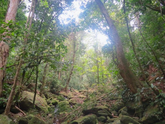 Meio ambiente: é preciso acrescentar traços de modernidade nos projetos de lei de exploração de recursos naturais