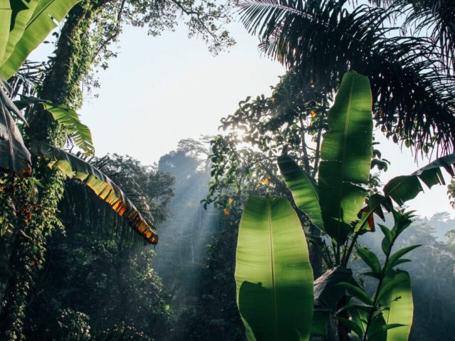 A pressão americana a favor do meio ambiente