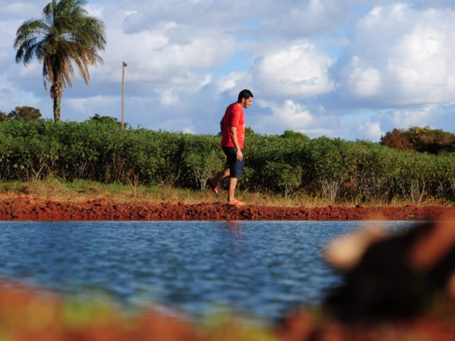 Apagão geral: gestão caótica causa paralisia e adiamento de ações