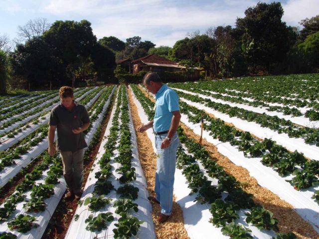 Crescimento PIB brasileiro de 2023 mostra tendência de primarização da economia