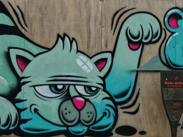 O Gato e o Rabo