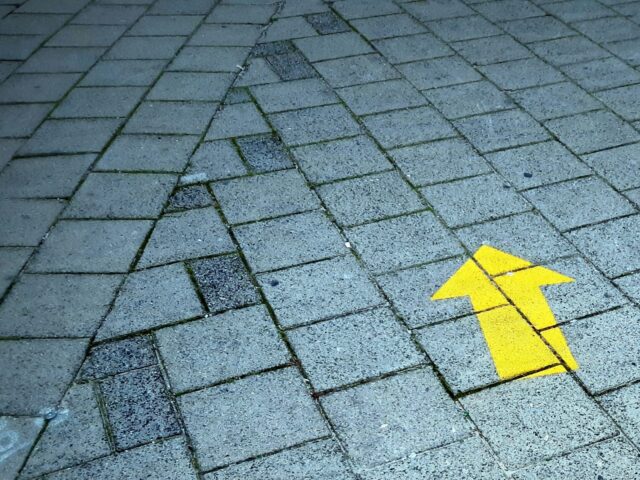 Entre o progresso e o sentido a travessia humana em busca de Propósito