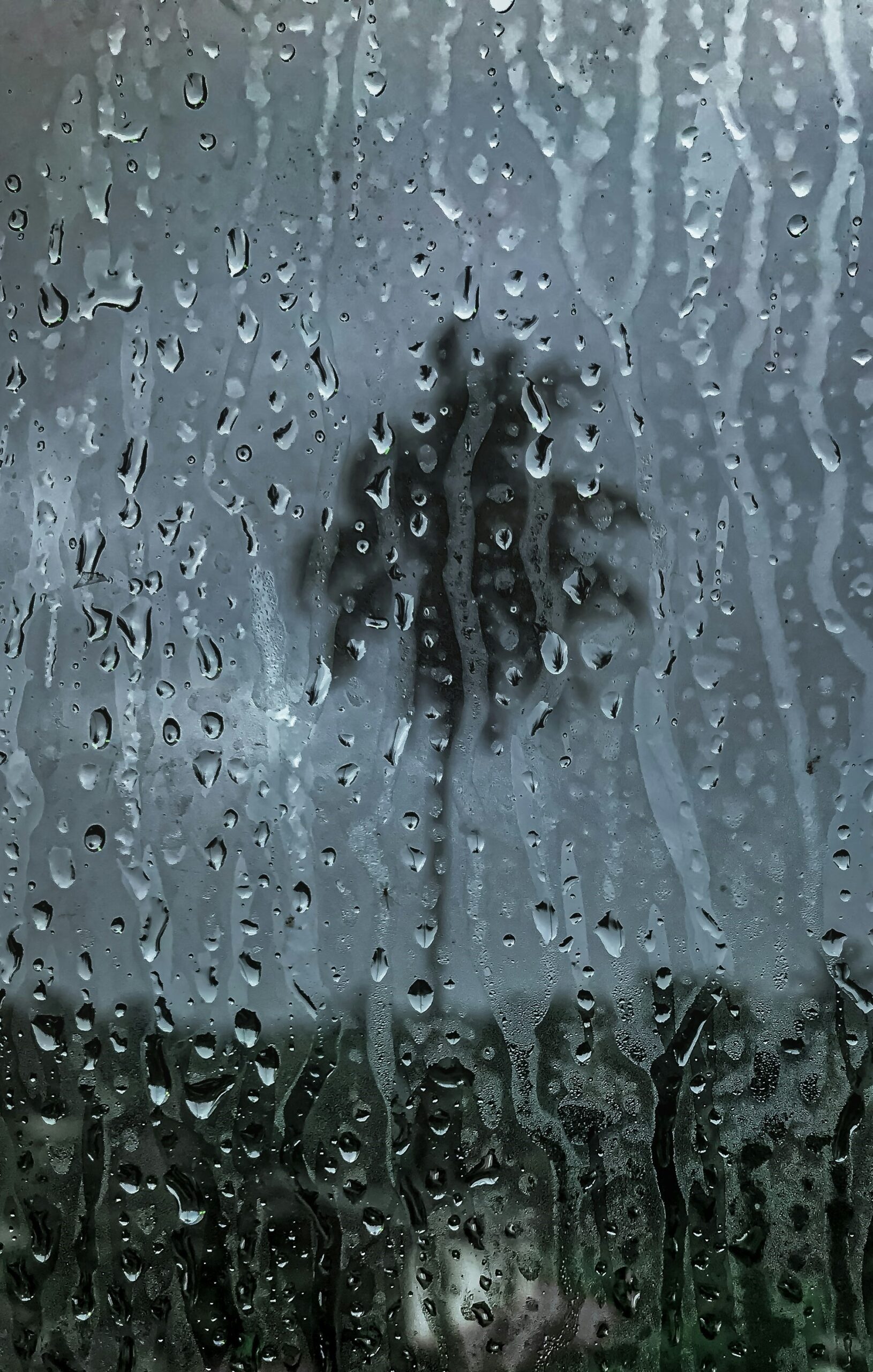 No momento, você está visualizando Habitação: o direito constitucional que desmorona nas chuvas