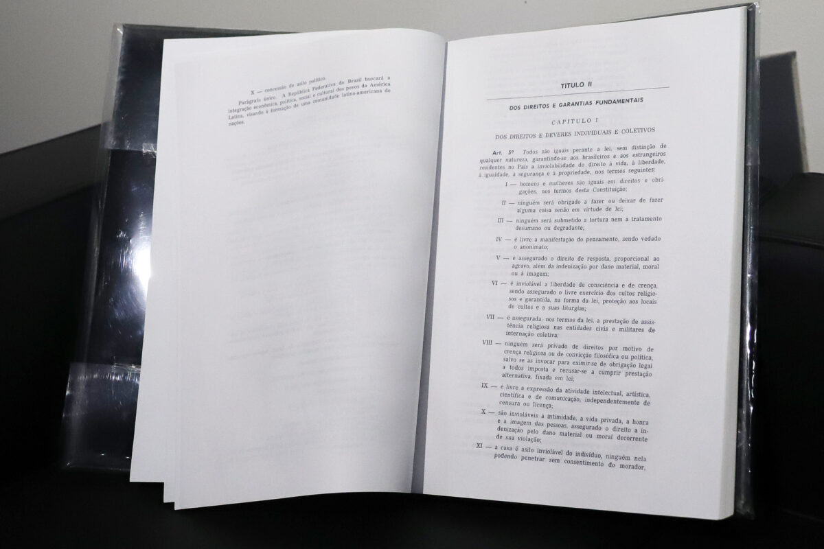 Proteção integral de menores: lei, controle institucional e escrutínio público