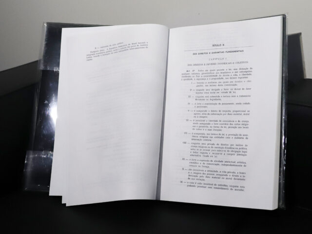 Proteção integral de menores: lei, controle institucional e escrutínio público